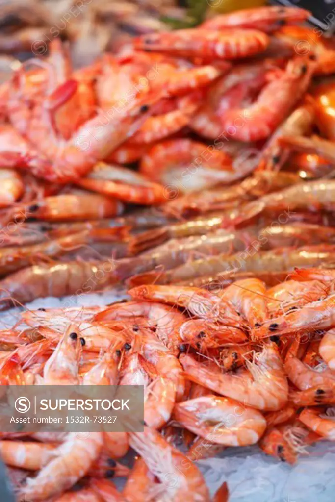 Shrimp in the market, 8/21/2013