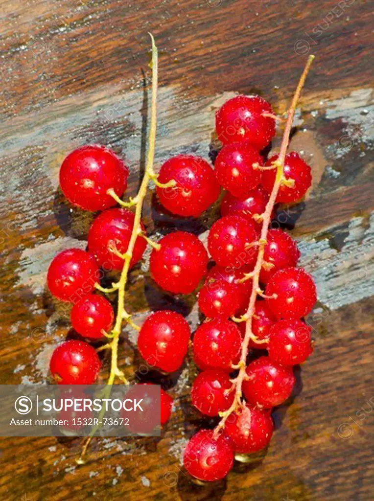 Redcurrants on a wooden surface, 8/26/2013