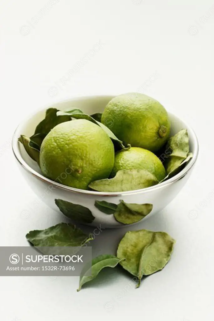 Limes with leaves in a silver bowl, 8/23/2013