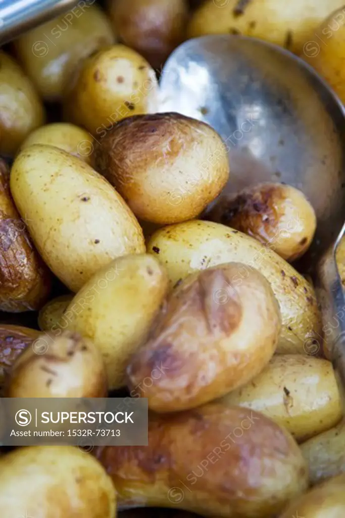Potatoes boiled in their skins, with a spoon (close-up), 8/26/2013