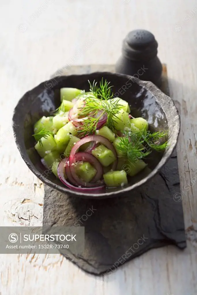 Cucumber salad with red onions and dill, 8/23/2013