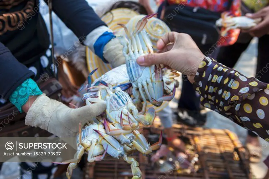 Customers checking the quality of blue crabs at a fish market in Cambodia, 9/2/2013