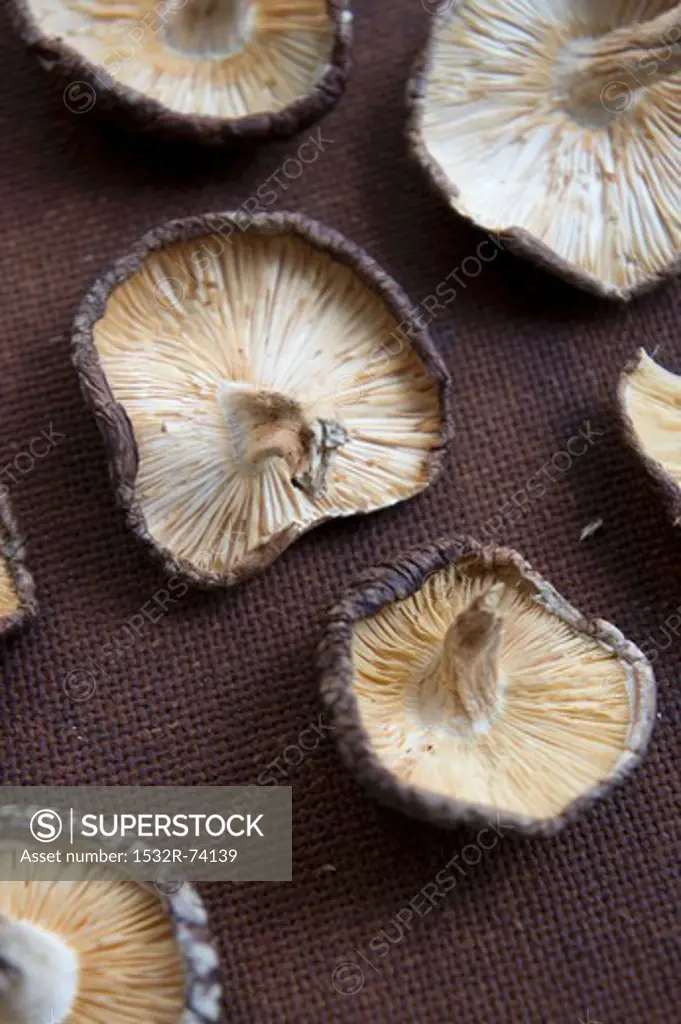 Dried shiitake mushrooms, 9/3/2013