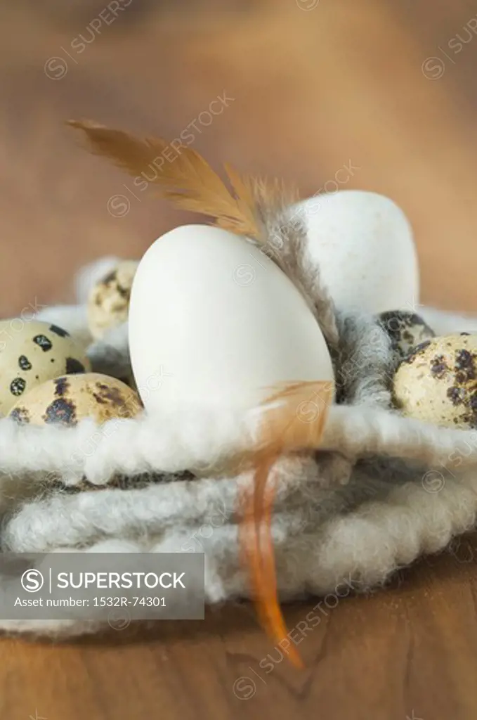 Eggs and feathers in an Easter nest, 9/5/2013