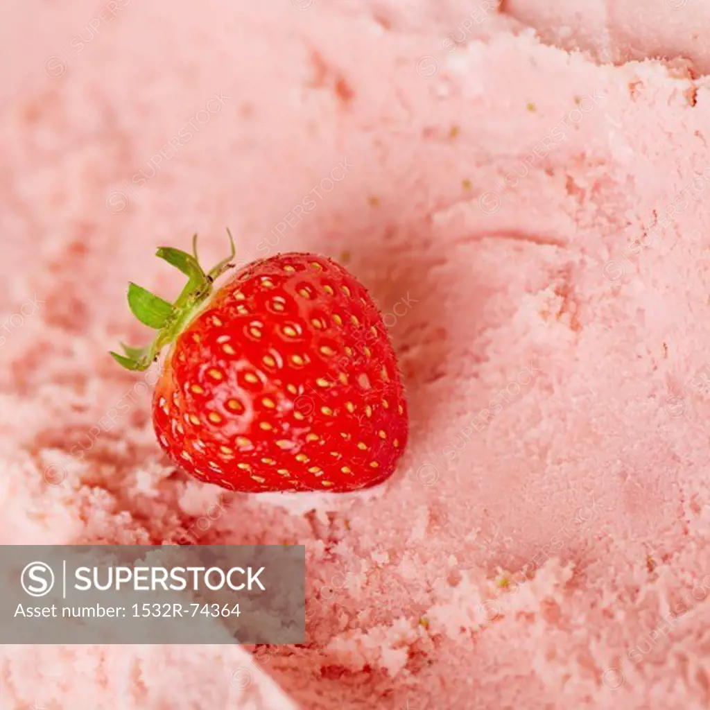 A fresh strawberry on fresh strawberry ice cream ready to be scooped, 9/9/2013