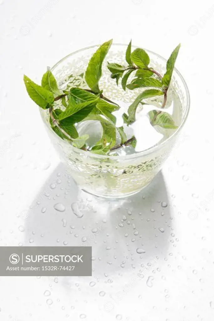A glass of water with fresh mint, 9/10/2013