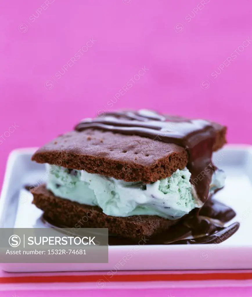 Ice cream sandwich (chocolate biscuits with mint ice cream), 9/18/2013