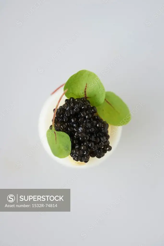 Deviled Egg with Truffle Oil Topped with Caviar and Garnished with Micro Greens, 9/20/2013