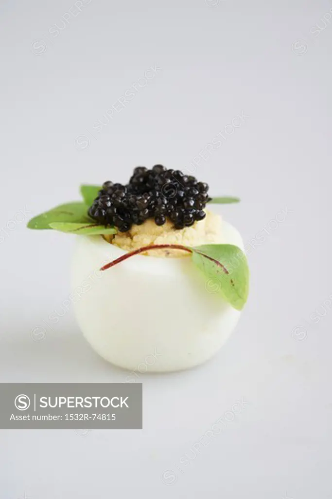 Deviled Egg with Truffle Oil Topped with Caviar and Garnished with Micro Greens, 9/20/2013