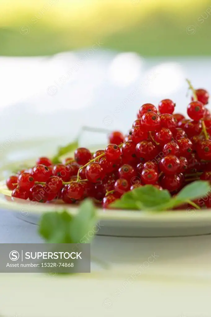 A plate of redcurrants on a table in the garden, 9/19/2013