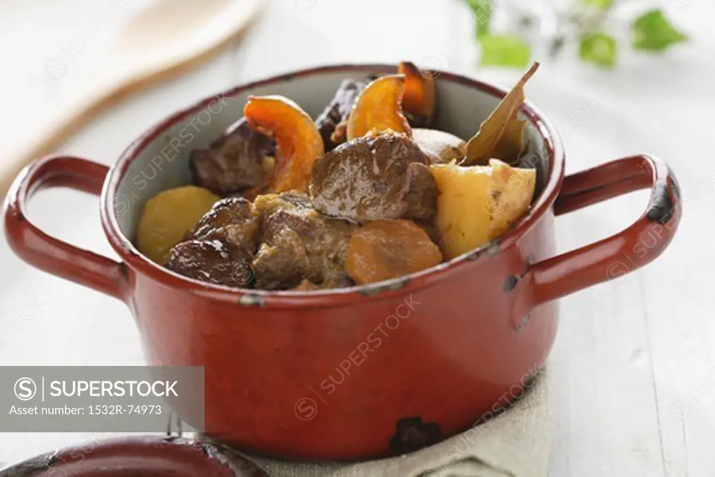 Bowl of Beef Stew with Potatoes and Carrots, 9/24/2013