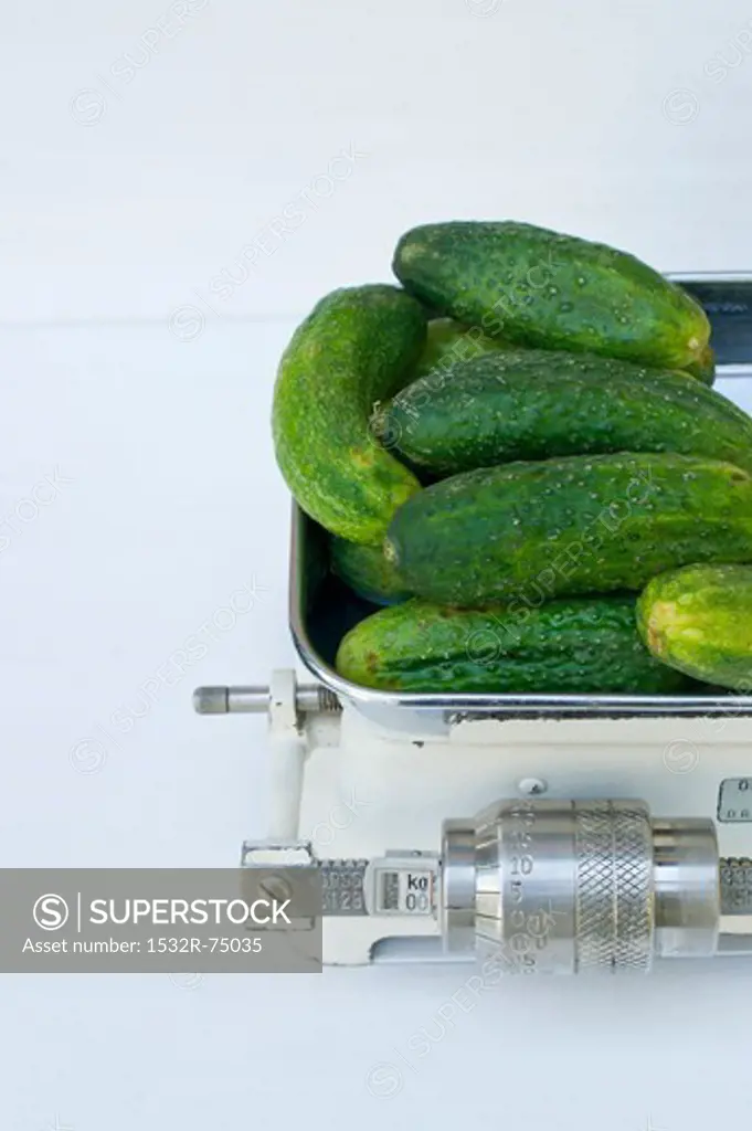 Fresh pickling cucumbers on an old set of kitchen scales, 9/23/2013