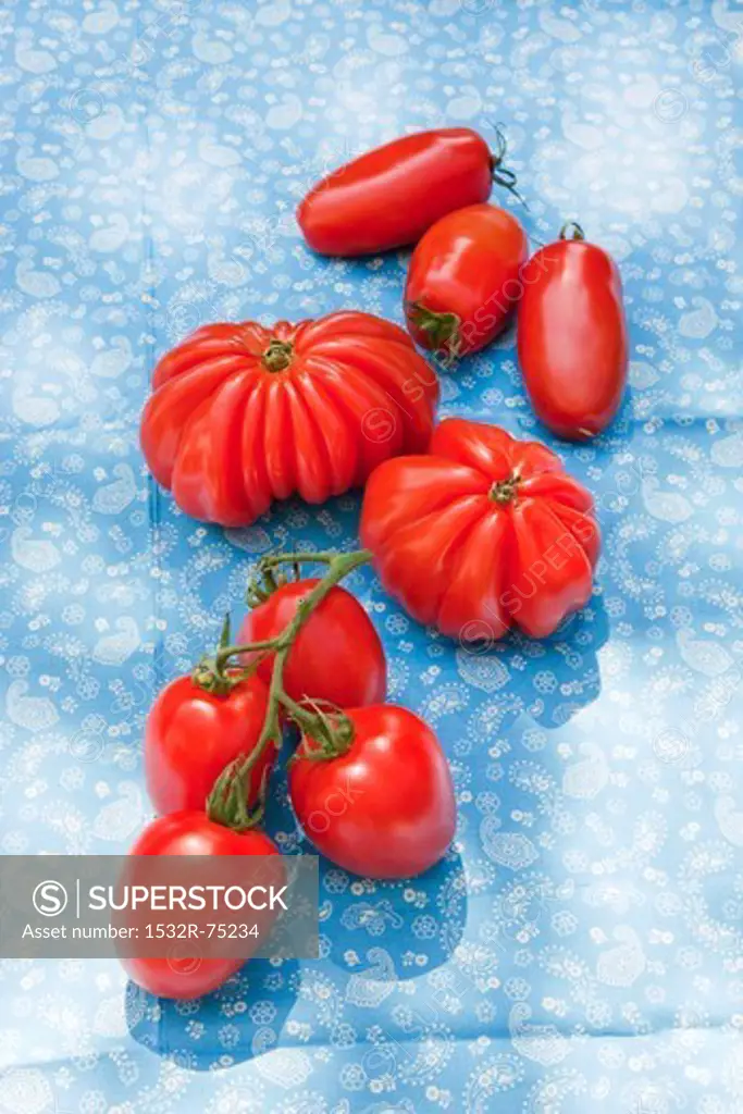 Plum tomatoes, beef tomatoes and vine tomatoes on a blue cloth outdoors, 10/1/2013