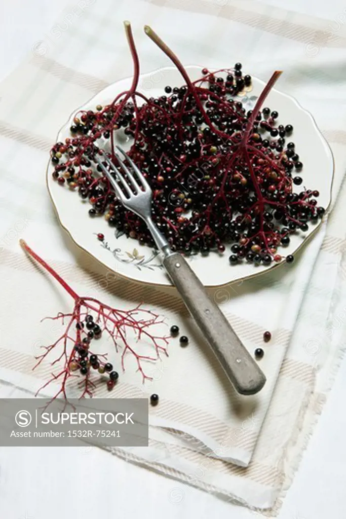 Lots of elderberries, in bunches and individually, on an old plate with a fork, 10/1/2013
