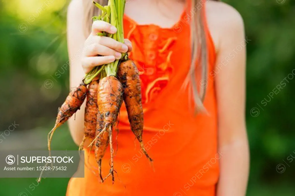 A girl holding carrots, 10/9/2013