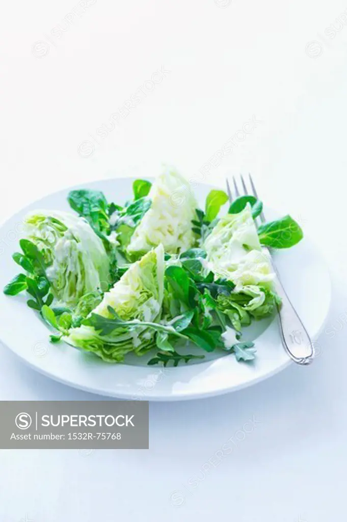 Salad leaves with yoghurt dressing, 11/1/2013