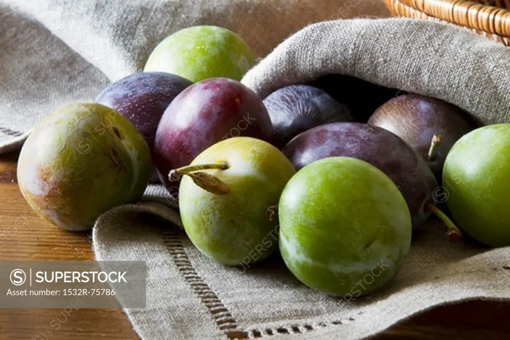 Plums and greengages on a linen napkin, 10/25/2013