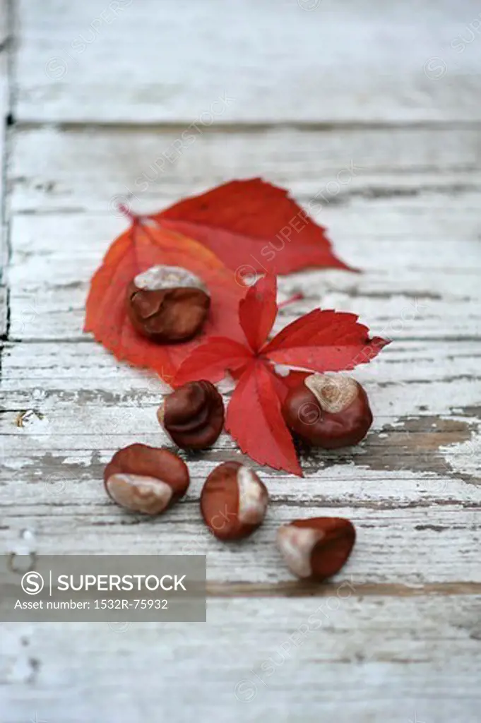 Chestnuts and red leaves on a wooden surface, 10/23/2013