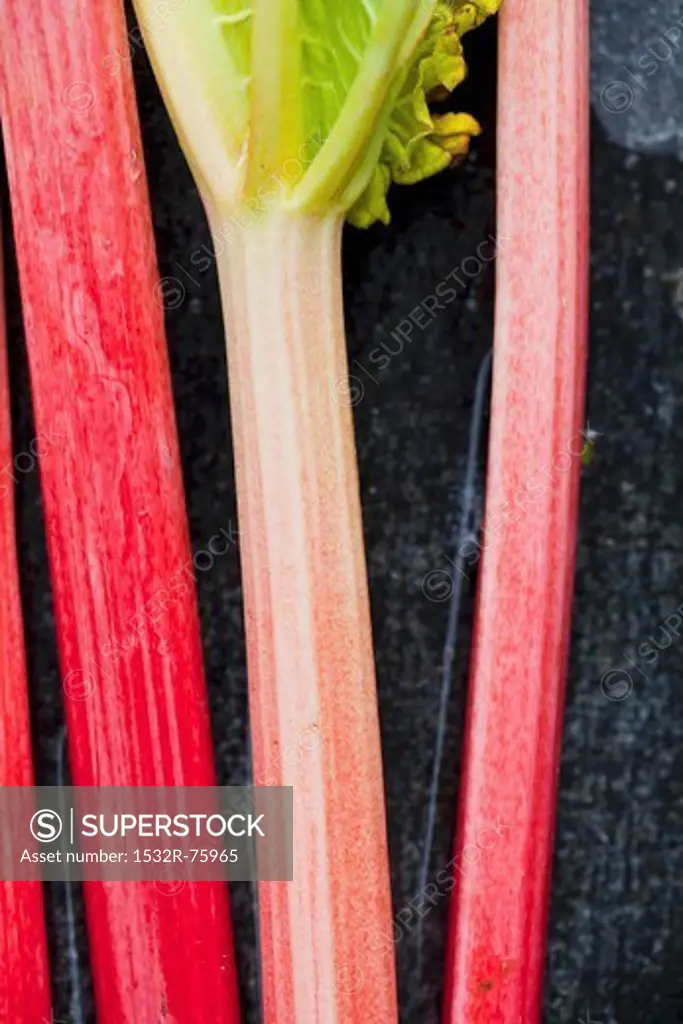 Sticks of rhubarb, 10/26/2013