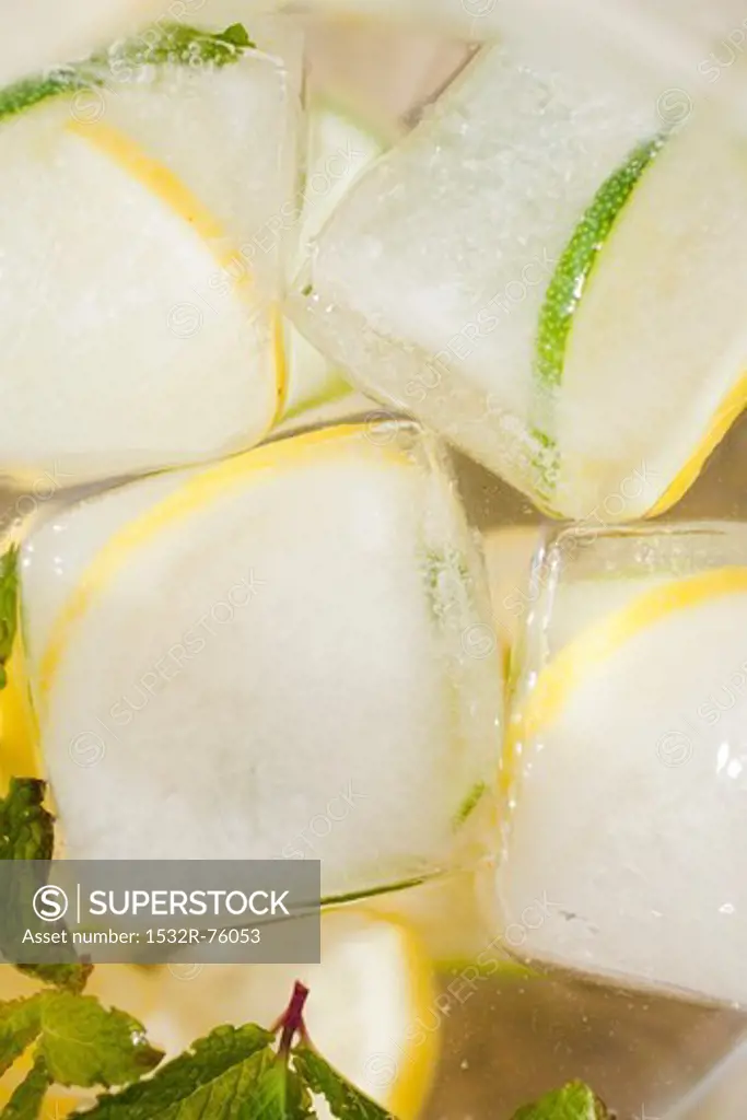 Close up of Lemon and Lime slices frozen into ice cubes, 11/7/2013