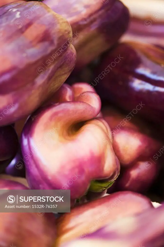 Purple peppers, 11/25/2013
