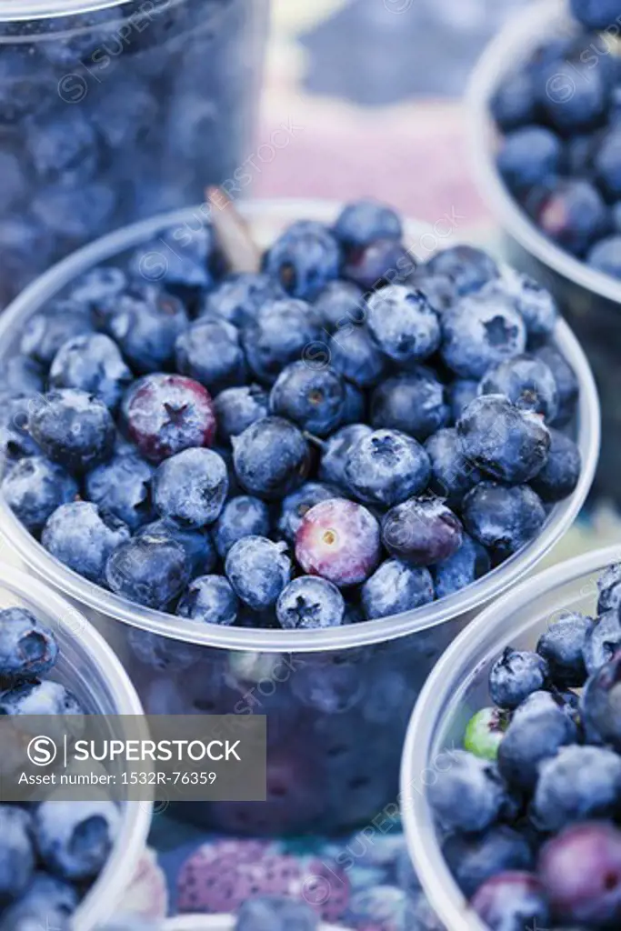 Fresh blueberries, 11/25/2013