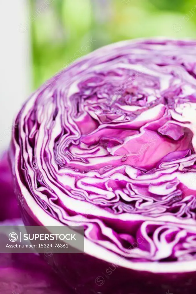 Half of a Head of Purple Cabbage, 11/25/2013