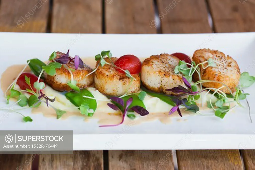 Seared Scallops in White Dish on Restaurant Table, 11/23/2013
