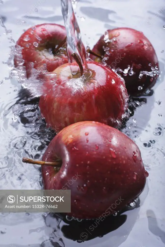 Red apples in water with a jet of water, 11/18/2013