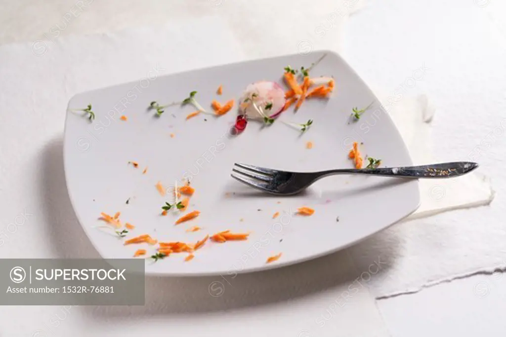 The remains of carrots and cress on a plate, 11/27/2013