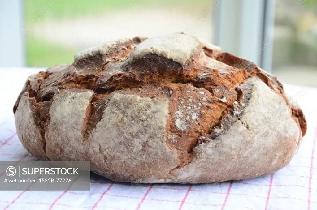 Whole wheat-rye bread, 12/6/2013