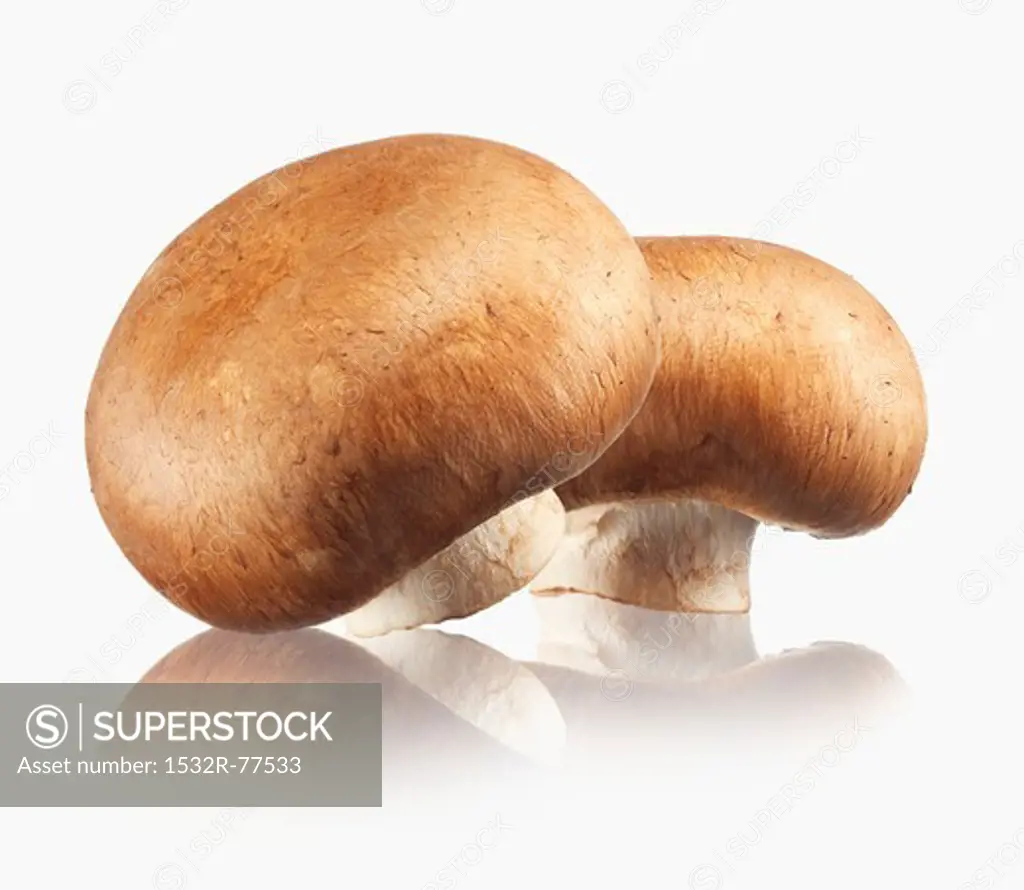Two brown mushrooms, 12/18/2013