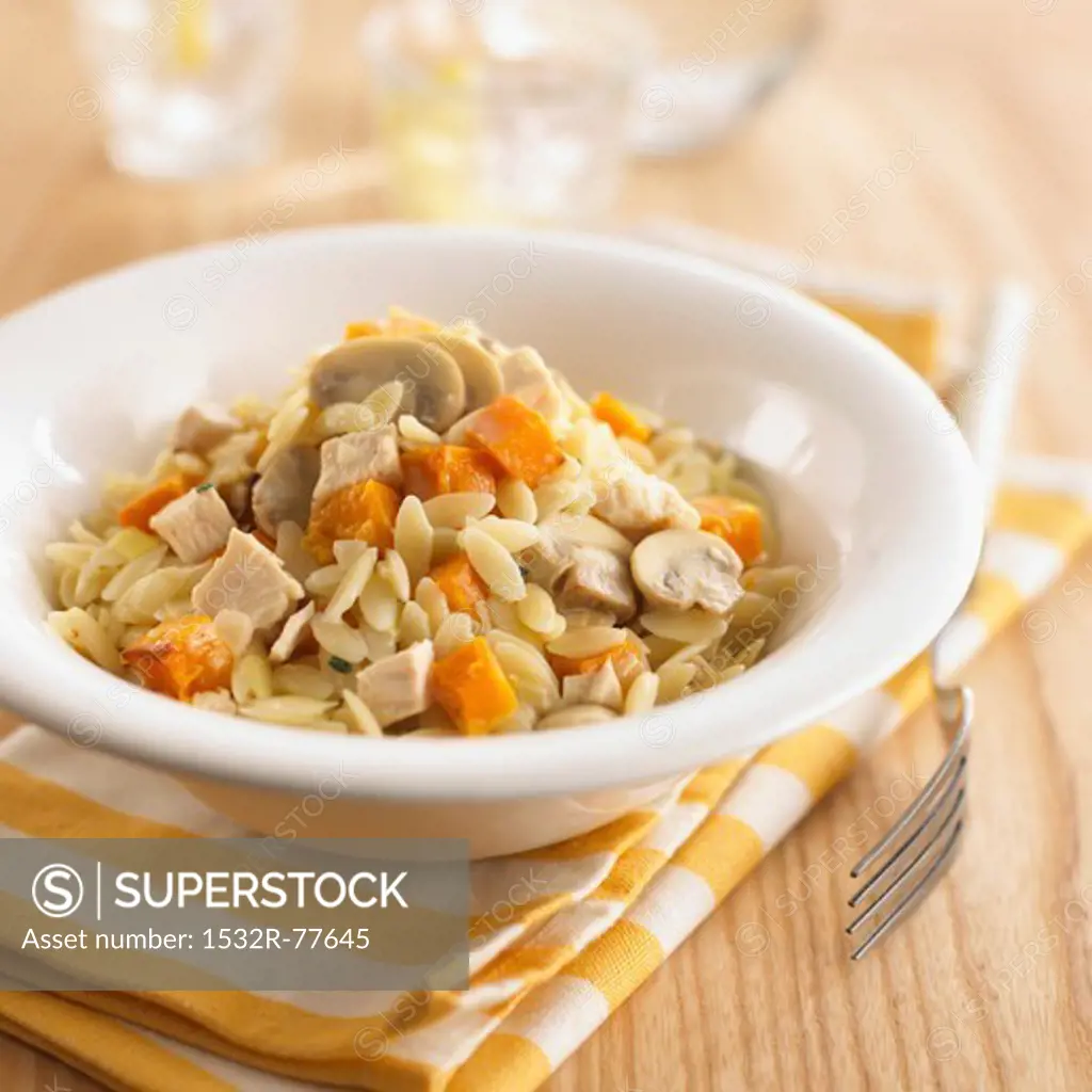 Orzo pasta with squash, mushrooms and chicken, 1/4/2014