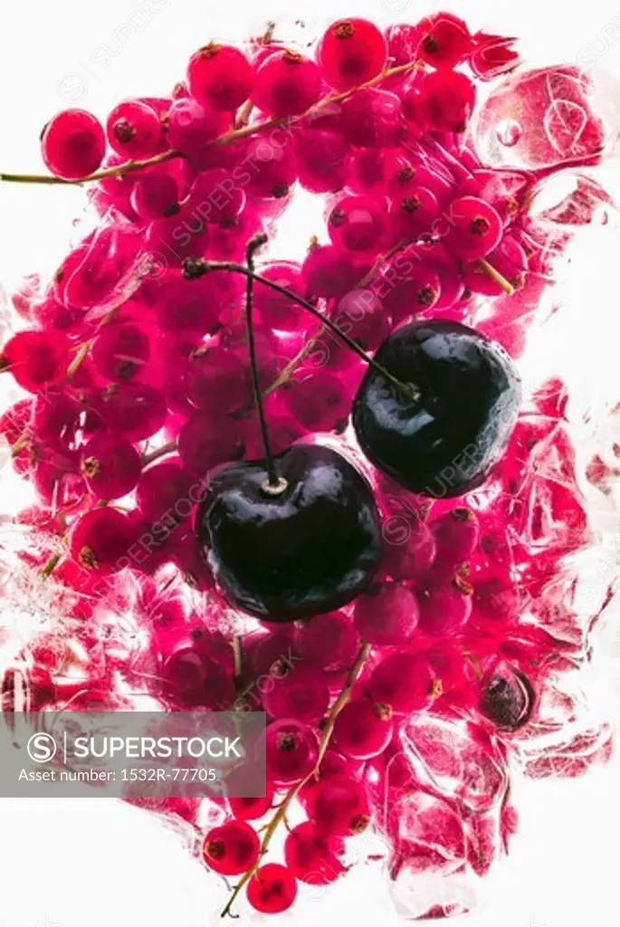 Cherries on frozen redcurrants, 1/9/2014