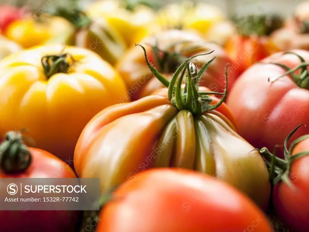 Beefsteak tomatoes, 1/9/2014