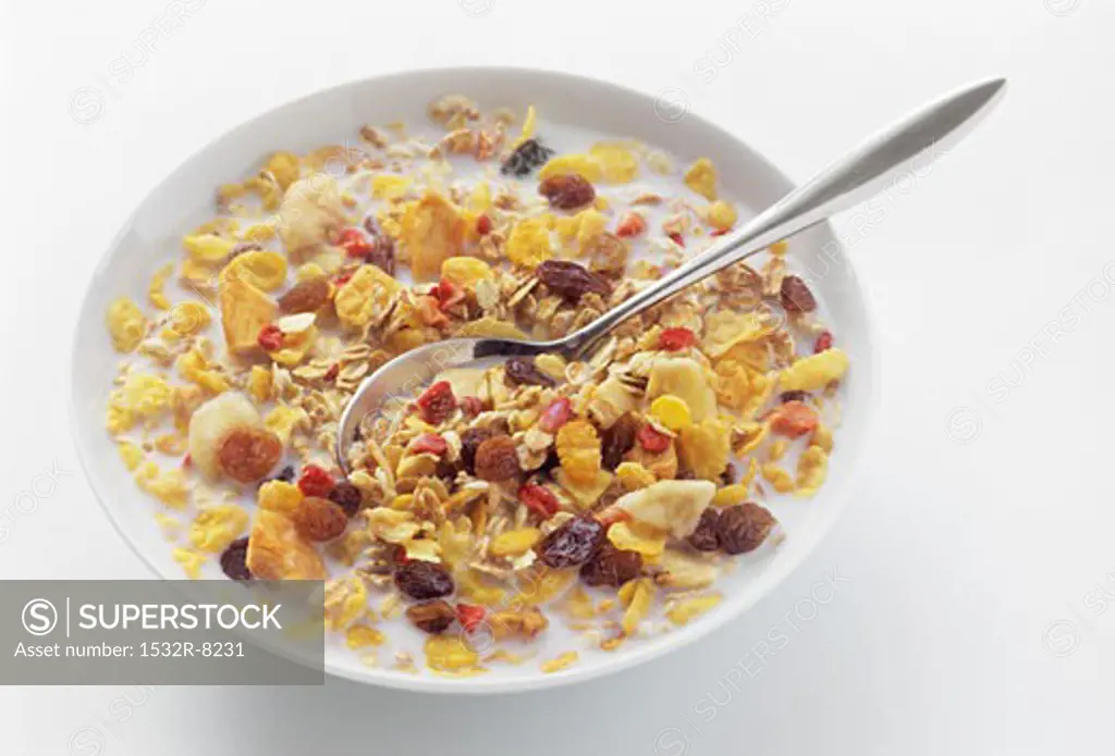 A Bowl of Muesli with Dried Fruits; Spoon