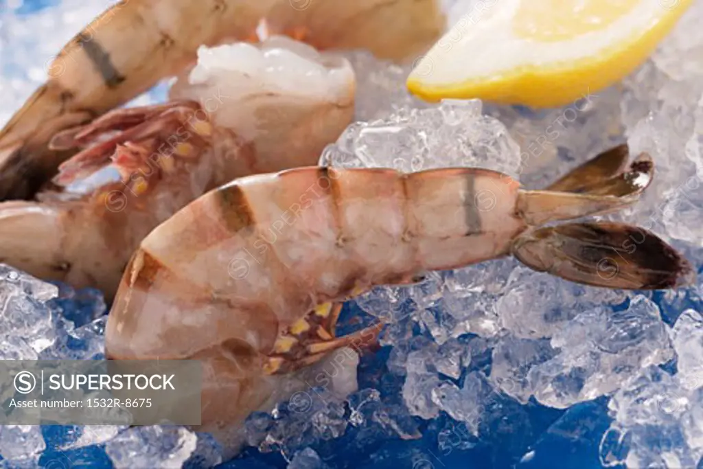 King prawns without heads on ice with lemon