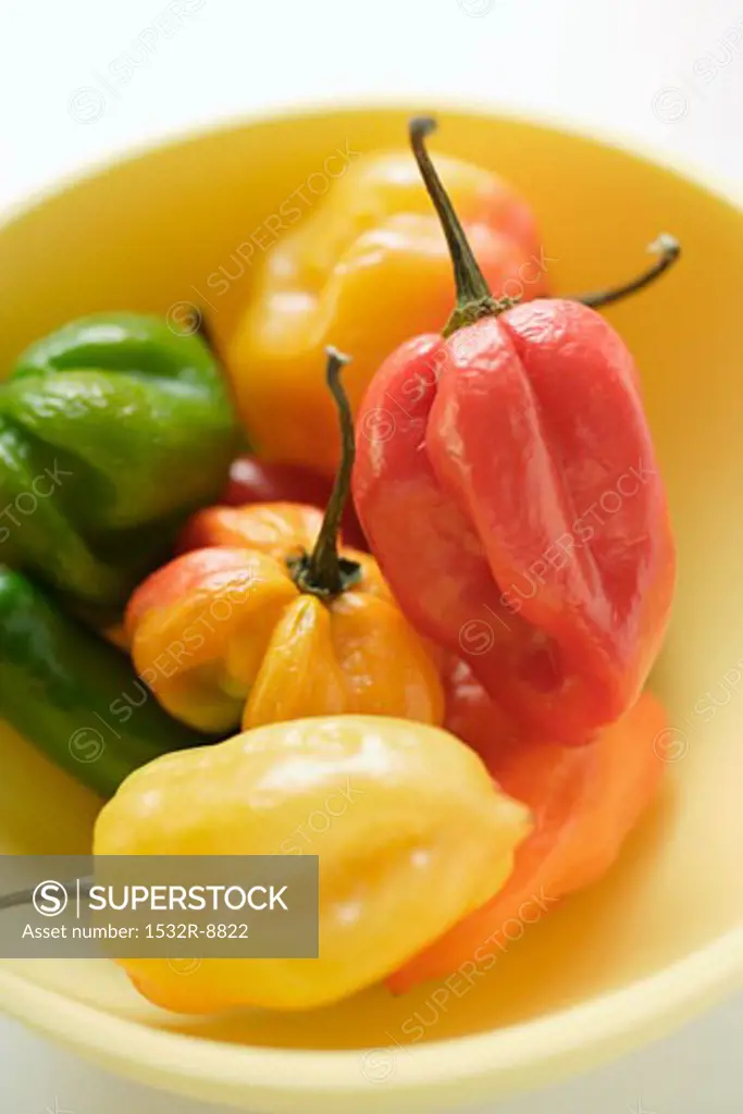 Various chili peppers in yellow bowl
