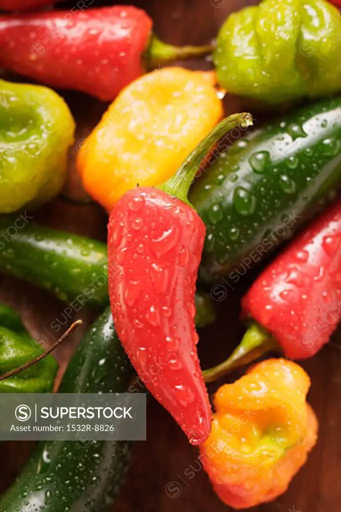 Various chili peppers with drops of water