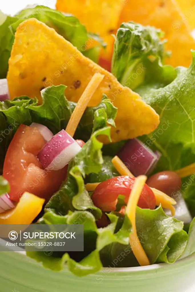 Mexican salad with vegetables and taco chips (close-up)