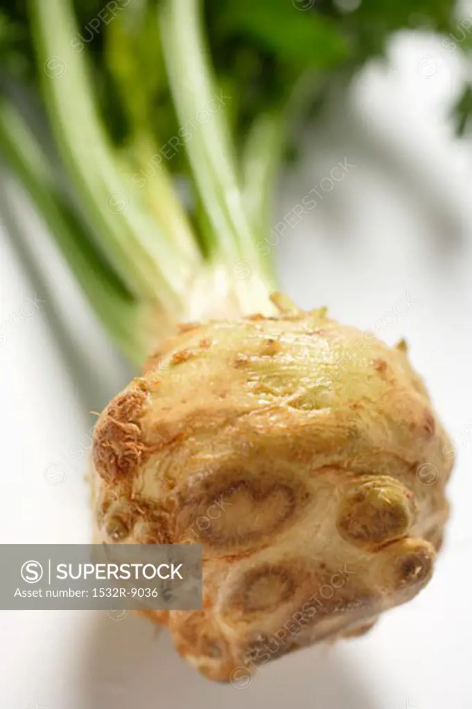 Celeriac (close-up)