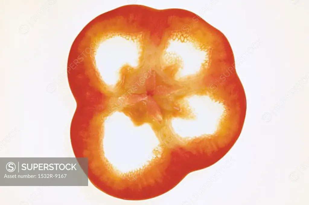 Slice of red pepper, backlit