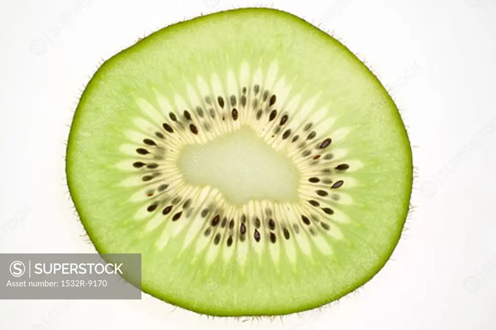 Slice of kiwi fruit, backlit