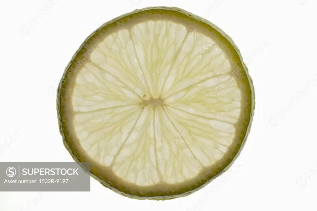 Slice of lime, backlit