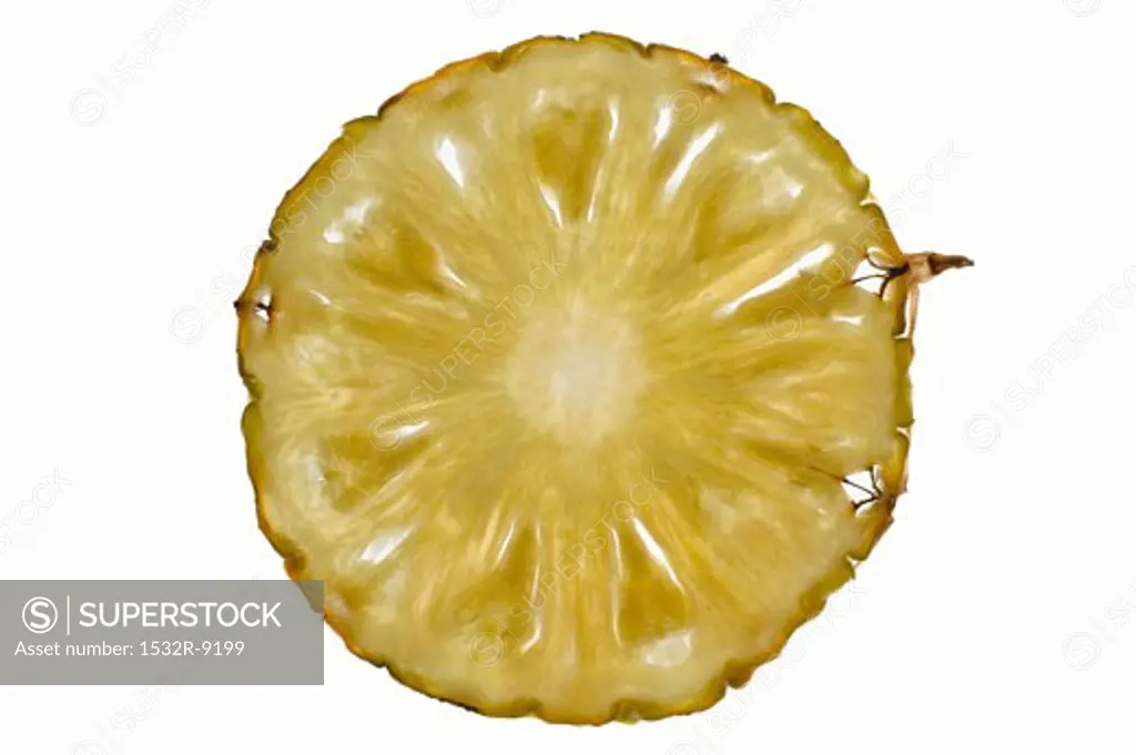 Slice of pineapple, backlit