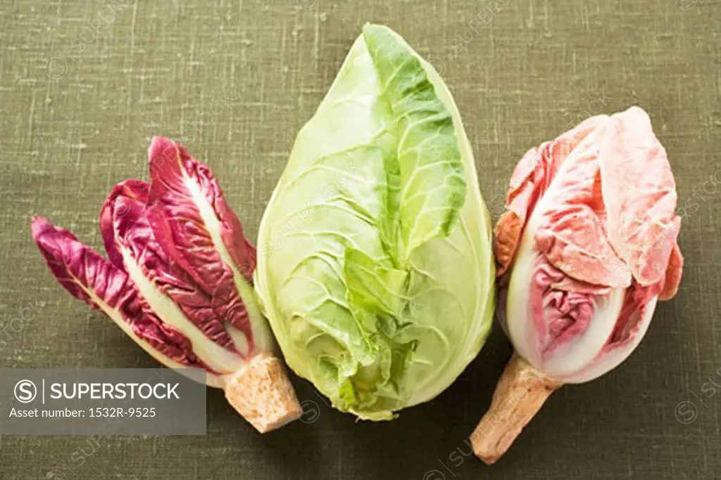Pointed cabbage and radicchio on green background