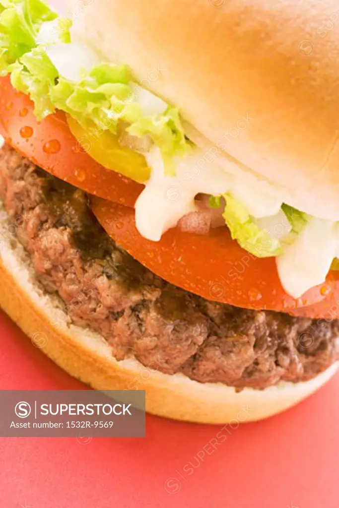 Hamburger with tomato, lettuce and mayonnaise