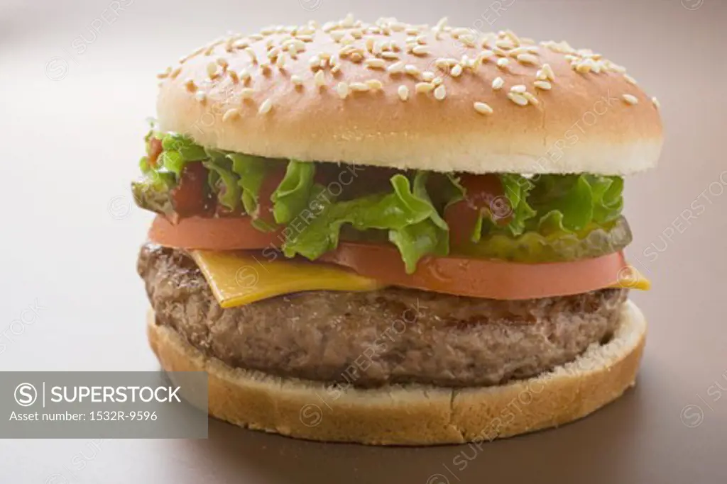 Cheeseburger with tomato, lettuce and ketchup
