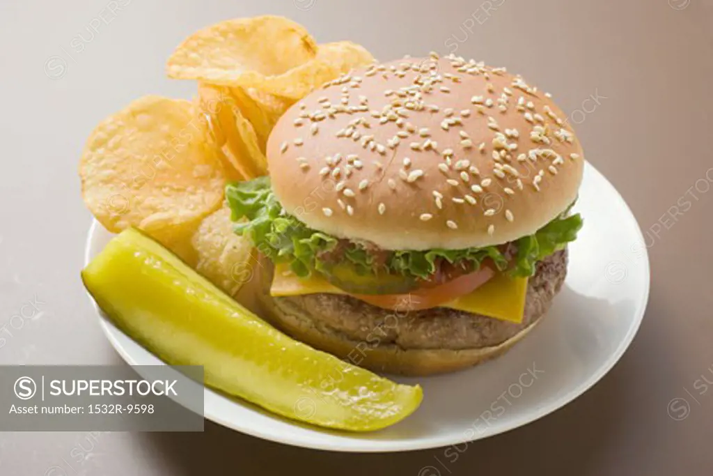 Cheeseburger with potato crisps and gherkin