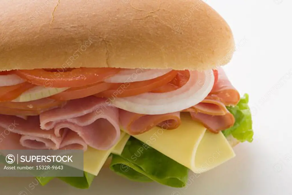 Ham, cheese, tomato and onion in sub sandwich
